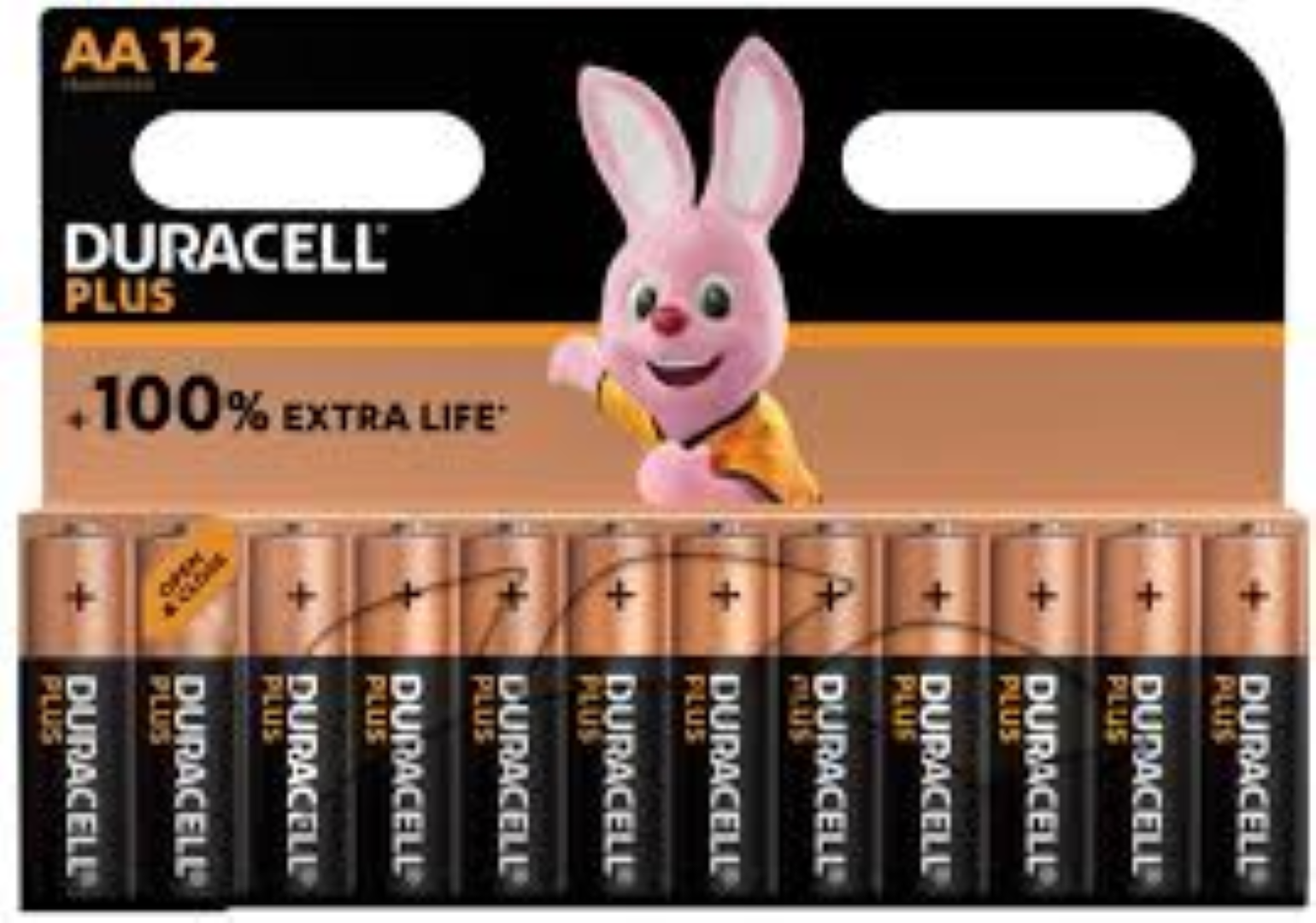 DURACELL MN 1500 12X2 (AA)